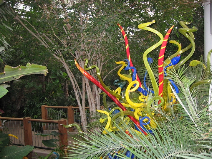 IMG_5714 Dale Chihuly art at Pittsburgh Phipps Conservatory.jpg
